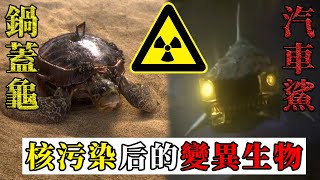 【映像】撮影された怪物 異形の未確認生物 第８弾 [upl. by Ertsevlis676]