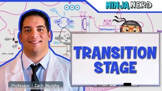 Metabolism  Transition Stage Preparatory Phase [upl. by Conlee]