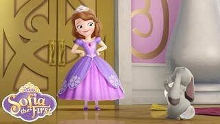 Sofia the First Theme Song  disneyjr [upl. by Suiddaht]