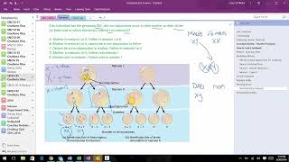 Answers to Nondisjunction Questions [upl. by Enelyaj]