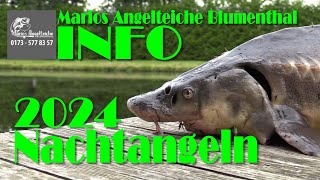 Marios Angelteiche Blumenthal  Nachtangeln 2024  Neue Zeiten [upl. by Brass]