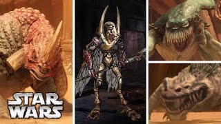 Geonosian Gladiators and the Creatures from the Geonosis Arena [upl. by Paulson51]