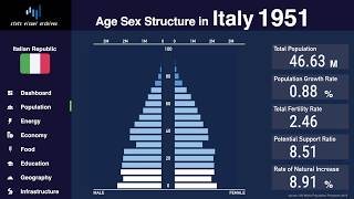 Italy  Changing of Population Pyramid amp Demographics 19502100 [upl. by Orran]