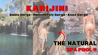 KARIJINI  Dales Gorge Hammersly Gorge with the FAMOUS natural spa pool Knox Gorge incredible hike [upl. by Gerg]