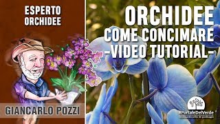 Come si concimano le orchidee Tutorial con Giancarlo Pozzi [upl. by Nnazus]