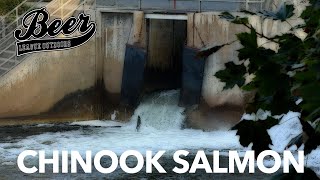 It’s Getting A Little Crazy  Ontarios Chinook Salmon Debate ontario salmon chinooksalmon [upl. by Willcox280]