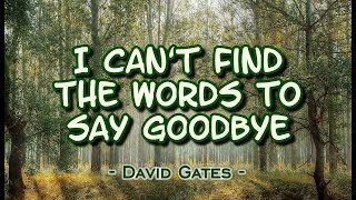 I Cant Find The Words to Say Goodbye  David Gates KARAOKE VERSION [upl. by Eirene]