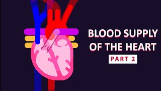 How The Heart Supplies Blood to Itself Part 2 [upl. by Ahsikat]