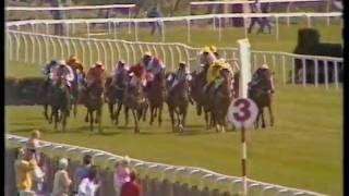 1989 Swinton Insurance Trophy Handicap Hurdle [upl. by Aerdnahs]