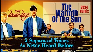 The Beach Boys The Warmth Of The Sun 5 Voices 5 Spaces Full Range Vocal 2024 Remix thebeachboys [upl. by Rus]