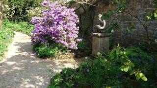 20160512 Hidcote Manor amp Gardens Chipping Campden UK  03 [upl. by Dao]