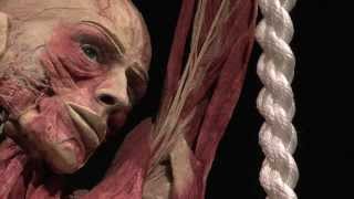 Opening BODY WORLDS The Happiness Project in Amsterdam [upl. by Mano739]