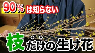 【有料級】枝だけでプロっぽい生け花にする方法！ [upl. by Seto134]