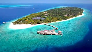 Soneva Fushi Maldives my best holiday ever [upl. by Attelahs]