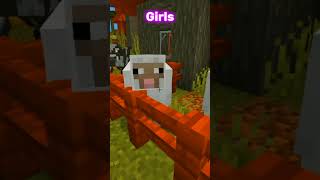 Girls vs Boys 💀 minecraft shorts [upl. by Wera]