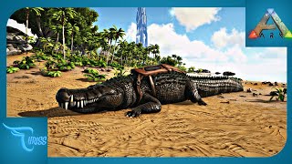 CARA MUDAH TAMING DEINOSUCHUS  Ark Survival Evolved Indonesia [upl. by Pigeon367]