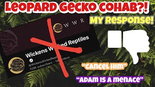 MY RESPONSE Wickens Wicked Reptiles amp Leopard Geckos quotcohabbing leopard geckosquot VIDEO NOT happy [upl. by Hanahsuar]