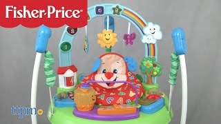 Laugh amp Learn Puppys Activity Jumperoo from FisherPrice [upl. by Ortensia]