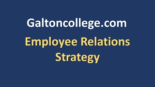 Employee Relations Strategy [upl. by Airtemak]