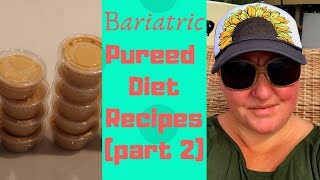 Pureed Diet Recipes Part Two  Bariatric Diet Options [upl. by Alleen]