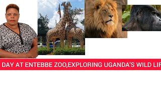 A DAY AT ENTEBBE ZOOEXPLORING UGANDAS WILD LIFE [upl. by Eanad]