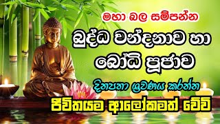 බුද්ධ වන්දනාව සහා බෝධි පූජාව  Buddha wandanawa saha bodhi poojawa bodhi buddha [upl. by Sollows]