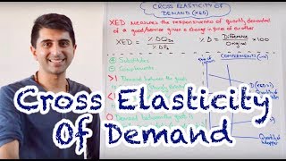 Y1 13 Cross Elasticity of Demand XED [upl. by Yntrok]