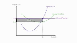 Introduction to Perfect Competition [upl. by Enehpets]