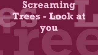 Screaming Trees  Look at you Dust [upl. by Tsirhc]