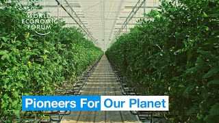 Farmers in the Netherlands are growing more food using less resources  Pioneers for Our Planet [upl. by Cal425]