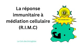 La réponse immunitaire à médiation cellulaire RIMC [upl. by Ailed137]