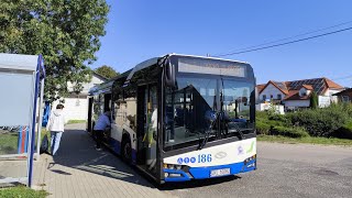 KM Kołobrzeg  Linia 1  Solaris Urbino 12 IV 186  Kierunek ZieleniewoPętla [upl. by Wolsky]