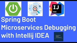 Spring Boot Microservices Debugging with Intellij IDEA  How to run microservices in Intellij [upl. by Gravante181]