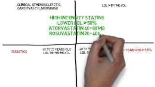 2013 Lipid Guidelines [upl. by Nalid]