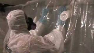 Asbestos Removal [upl. by Irdua]