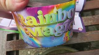 Asda Rainbow Magic £6 Firework [upl. by Bowyer]