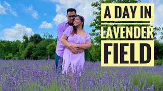 A Day In Lavender Festival  1st time in a Lavender Field  New Vlog [upl. by Pharaoh]