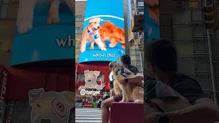 Showing my dogs their Times Square billboard [upl. by Ellesirg]