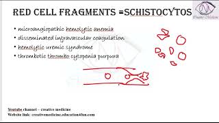 Lec 10 Red Cell Fragments  Schistocytes  Hematology [upl. by Nelyahs]