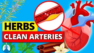 Top 10 Herbs to Clean Your Arteries that Can Prevent a Heart Attack [upl. by Aindrea]