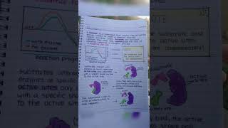 Enzymes class 11 biology [upl. by Niala]