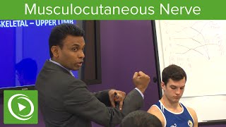 Musculocutaneous Nerve Definition amp Overview – MRCS  Lecturio [upl. by Algar]