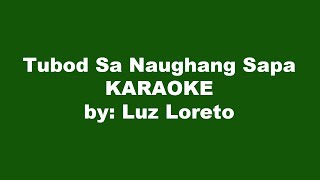 Tubod Sa Naughang Sapa Karaoke [upl. by Selhorst]