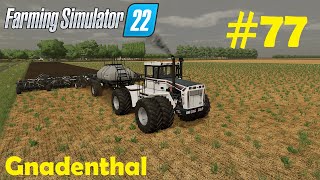 LS22 Gnadenthal 77 Raps ansäen Funkturm amp Pferdemist  Farming Simulator 22 [upl. by Eittod]