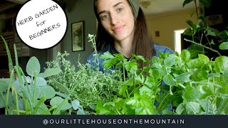 HERB GARDENS BEGINNERS GUIDE  HOW TO  GARDEN BASICS [upl. by Eednak]