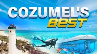 The 5 BEST Must Do Activities in Cozumel Mexico [upl. by Anahsal]