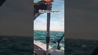 Big marlin on fishing planet [upl. by Duaner]