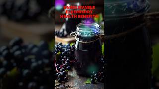 Unbelievable Elderberry Health Benefits healthydieting facts healthyfoodforlife food [upl. by Lucina]