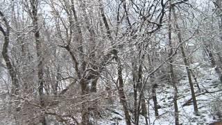 May 2 2013 Late Late Snowstorm in Wisconsin [upl. by Ahsille514]