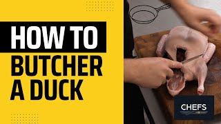 How to butcher a whole duck [upl. by Eustazio]